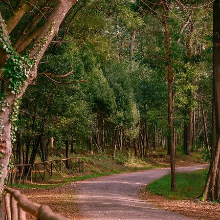 Apartament Casino Iv